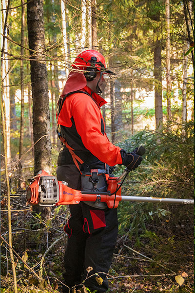 trabajos-forestales trabajos-forestales